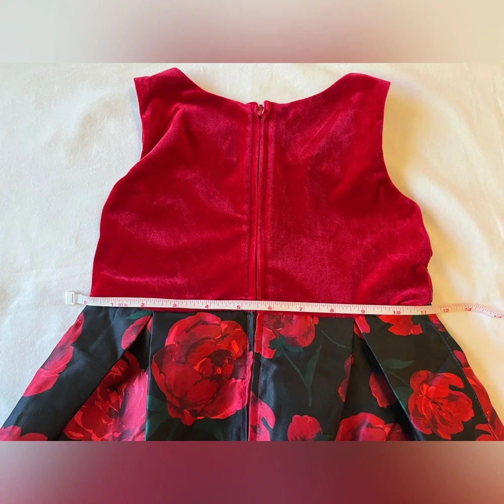 The Children’s Place Toddler Girls Floral Velour Party Dress Red Size 3T NWT